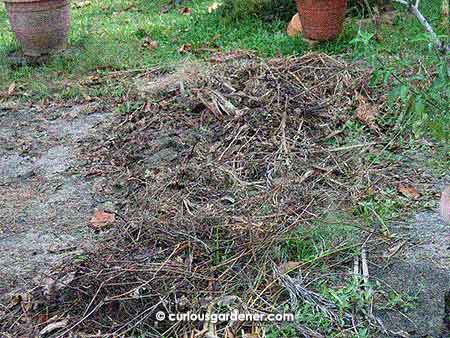 Weeding by mulching on the drieway. Yes, it looks terrible ...but it killed off the grass and weeds, and we got compost as well!