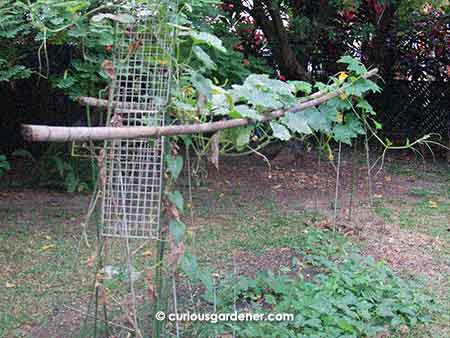 Not much thought went into this structure - basically, the long, tough poles were put atop the metal flower stands. You can't get any simpler than that!