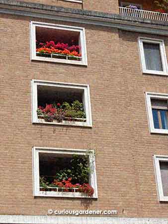 Although Italy is a much bigger country than Singapore, it has some pretty built-up cities. I was happy to see these apartment windows in Rome sporting pretty plants.