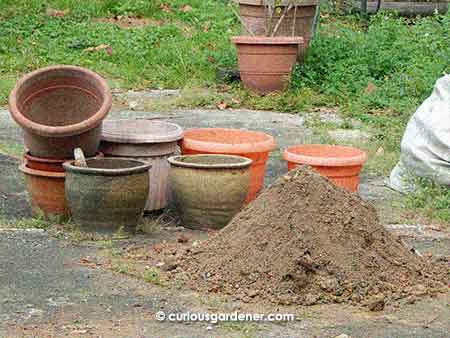 Something I should do more often - empty out and refill plant-vacant flower pots.