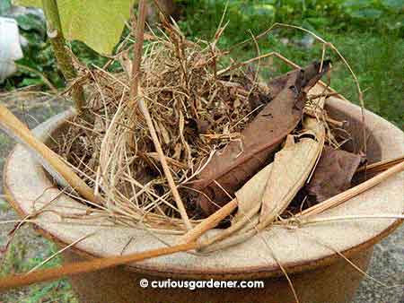 It looks rather messy, but this is mulching in action.