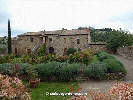 The monks' garden at the abbey of Sant'Antimo.