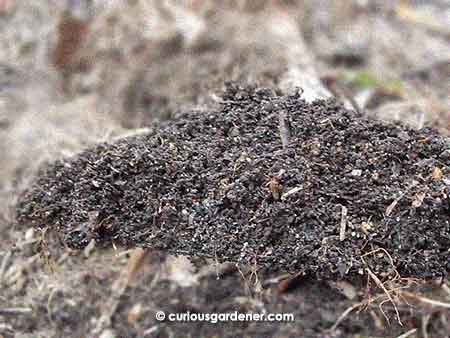 Our home-made compost!