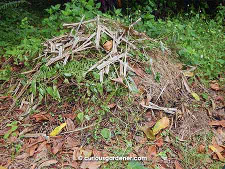 One of my compost piles. I think I'll try some neater options in future. :-|