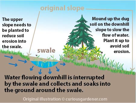 How to make a swale.