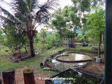 The first of the ponds, next to the bistro.