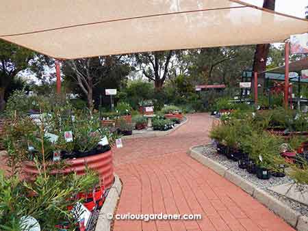 Display of different forms of container gardening - what I consider the "civilised" area