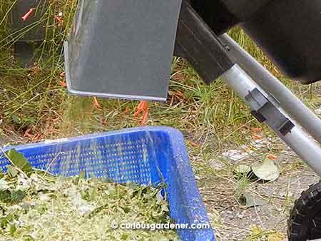 The garden shredder in action - feed in branches at the top and it spews bits of leaves and wood at the bottom!