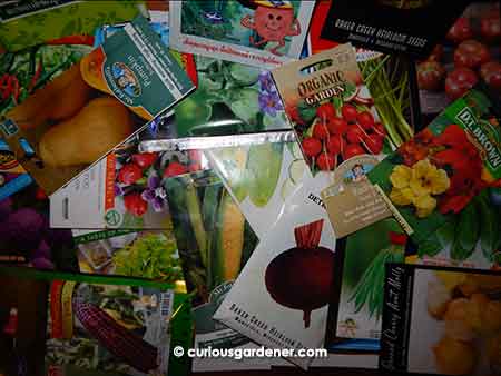 Packets and packets of seeds with so much potential in them!