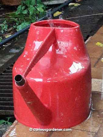 Harvesting rainwater in a watering can makes it easy to transfer the water to other containers!