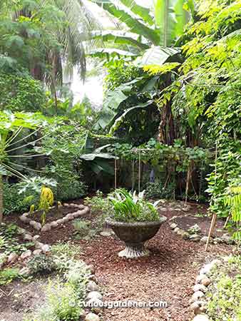 Alexius' permaculture garden is cosy and serene.