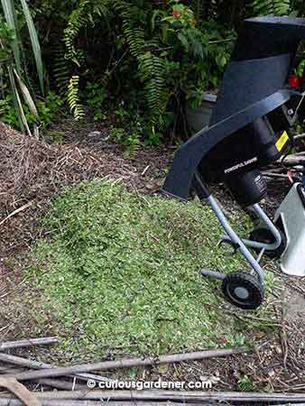 The green pile represents the entire wheelbarrow load from the previous picture. Amazing how compact it all becomes when reduced in size, isn't it? The brown pile is from previous shredding sessions.